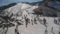 Archiv Foto Webcam Skigebiet Gala Yuzawa - Blick auf die Piste 11:00