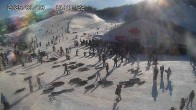 Archiv Foto Webcam Skigebiet Gala Yuzawa - Blick auf die Piste 13:00