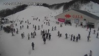 Archived image Webcam Gala Yuzawa Ski Resort - Central Area 20:00