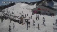 Archived image Webcam Gala Yuzawa Ski Resort - Central Area 11:00