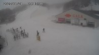 Archived image Webcam Gala Yuzawa Ski Resort - Central Area 08:00