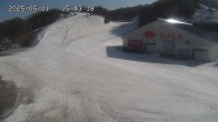 Archiv Foto Webcam Skigebiet Gala Yuzawa - Blick auf die Piste 14:00