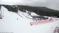 Archived image Webcam Björnrike Ski Resort - Base Station Grizzly Express 11:00