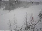 Archived image Webcam Björnidet - Björnrike Ski Resort 11:00