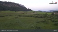 Archiv Foto Webcam Walchsee Moorgebiet Schwemm 04:00