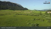 Archiv Foto Webcam Walchsee Moorgebiet Schwemm 06:00
