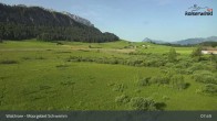 Archiv Foto Webcam Walchsee Moorgebiet Schwemm 07:00
