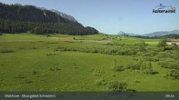 Archiv Foto Webcam Walchsee Moorgebiet Schwemm 08:00
