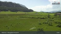 Archiv Foto Webcam Walchsee Moorgebiet Schwemm 12:00