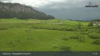 Archiv Foto Webcam Walchsee Moorgebiet Schwemm 16:00