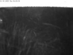 Archiv Foto Webcam Mt. Olympus: Zufahrtsweg 2 03:00