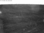 Archiv Foto Webcam Mt. Olympus: Zufahrtsweg 2 05:00