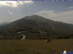 Archiv Foto Webcam Monte Cimone - La Cervarola 11:00