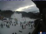 Archiv Foto Webcam Cimone - Colombaccio 11:00