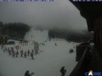 Archived image Webcam Cimone - Chair lift Colombaccio 11:00