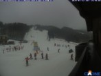 Archived image Webcam Cimone - Chair lift Colombaccio 13:00