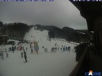 Archiv Foto Webcam Cimone - Colombaccio 11:00