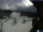 Archiv Foto Webcam Cimone - Colombaccio 13:00