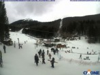 Archiv Foto Webcam Monte Cimone - Lago della Ninfa 11:00