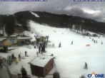 Archiv Foto Webcam Cimone - Le Polle 09:00