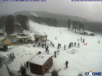 Archiv Foto Webcam Cimone - Le Polle 13:00