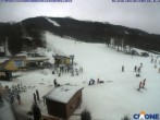 Archiv Foto Webcam Cimone - Le Polle 15:00