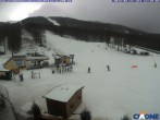 Archived image Webcam Cimone - Le Polle Ariete 11:00