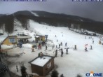 Archiv Foto Webcam Cimone - Le Polle 13:00