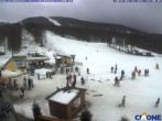 Archiv Foto Webcam Cimone - Le Polle 15:00