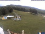 Archived image Webcam Cimone - Le Polle Ariete 11:00