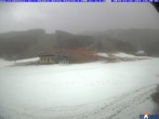 Archiv Foto Webcam Cimone - Stadio dello Slalom 13:00