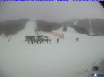 Archiv Foto Webcam Cimone - Stadio dello Slalom 13:00