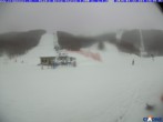 Archived image Webcam Cimone - Stadio Slalom R. Pelloni 13:00