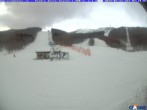 Archiv Foto Webcam Cimone - Stadio dello Slalom 06:00