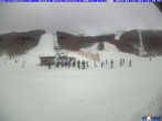 Archiv Foto Webcam Cimone - Stadio dello Slalom 11:00