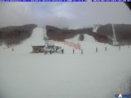 Archiv Foto Webcam Cimone - Stadio dello Slalom 15:00