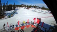 Archived image Webcam Ruka - Rosa Park Bistro 03:00