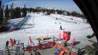 Archived image Webcam Ruka - Rosa Park Bistro 05:00