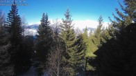 Archived image Webcam Rosswald - Chalet Bärgfriedu 09:00