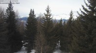 Archived image Webcam Rosswald - Chalet Bärgfriedu 11:00