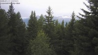 Archiv Foto Webcam Rosswald - Bergfriede 07:00