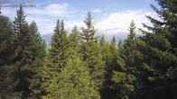 Archiv Foto Webcam Rosswald - Bergfriede 09:00