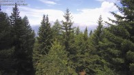 Archiv Foto Webcam Rosswald - Bergfriede 11:00