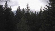 Archiv Foto Webcam Rosswald - Bergfriede 15:00