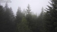 Archived image Webcam Rosswald - Chalet Bärgfriedu 05:00