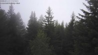 Archived image Webcam Rosswald - Chalet Bärgfriedu 06:00