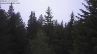 Archived image Webcam Rosswald - Chalet Bärgfriedu 07:00