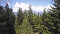 Archived image Webcam Rosswald - Chalet Bärgfriedu 11:00