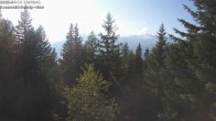 Archived image Webcam Rosswald - Chalet Bärgfriedu 17:00