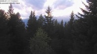 Archiv Foto Webcam Rosswald - Bergfriede 19:00